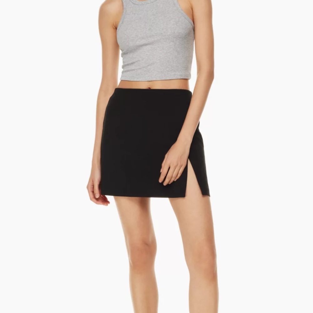 Aritzia Sunday Best Tatiana Mini Skirt